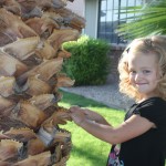 We are getting closer to a smile!