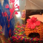 A bit camera shy